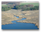 Choptank River Region