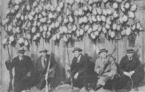LeCompte - Sherman Hunting Party