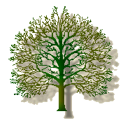 Small Green Tree